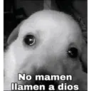 Mamadas 10