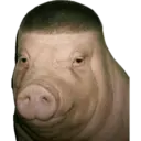 Mamadas 26