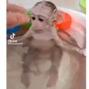 Hehe 5