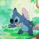 Stitch 🐨 18