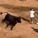 Amor de Corraleja 🇨🇴❤️‍🔥🐂 23