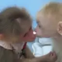 Monitos amorosos🥰❤️💖✨🙈🍌  4
