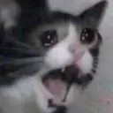 Gifs OMG 3 - desespero  8