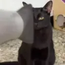 🧿La Gata Loca Tik Tok🐈‍⬛😵‍💫 5
