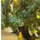 🧿La Gata Loca Tik Tok🐈‍⬛😵‍💫 11