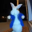 Animais 5
