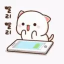 Mochi cat 19