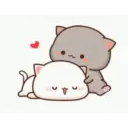 Mochi cat 25