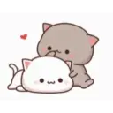 Mochi cat 27