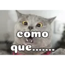 Jaja xd 4