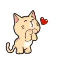 GATITOS - KITTENS 6