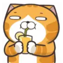 GATITOS - KITTENS 20