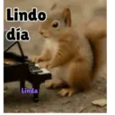 Axy Linda San-Fre 2026 (7) 21