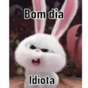 Minhas figurinhas 1