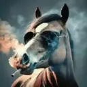 Caballos Divertidos 🐎 10