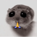 ❦̷ ⃝⃔❤⃪ᭂƘ⃪Cɦeᥲ𝛛ᥲ᬴᭄⃕͜
Hamster 8
