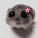 ❦̷ ⃝⃔❤⃪ᭂƘ⃪Cɦeᥲ𝛛ᥲ᬴᭄⃕͜
Hamster 10