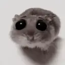 ❦̷ ⃝⃔❤⃪ᭂƘ⃪Cɦeᥲ𝛛ᥲ᬴᭄⃕͜
Hamster 12
