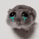 ❦̷ ⃝⃔❤⃪ᭂƘ⃪Cɦeᥲ𝛛ᥲ᬴᭄⃕͜
Hamster 16