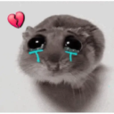 ❦̷ ⃝⃔❤⃪ᭂƘ⃪Cɦeᥲ𝛛ᥲ᬴᭄⃕͜
Hamster 20