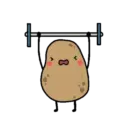 Potato 24