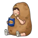 Potato 28