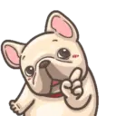 Dog 9