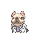 Dog 19