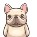 Dog 21