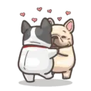 Dog 23