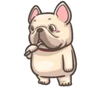Dog 25