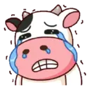 MooMoo Animated 12