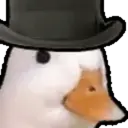 Random Pato🦆 14