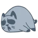 Gatitos🐈 6