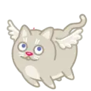 Gatitos🐈 10