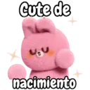 🐰Conejito Cute expresivo 🐇🩷 15