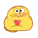Egg Yolk Cat 2 13