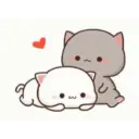 ❤️love❤️ 17