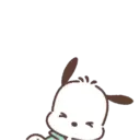 Pochacco,Come On !🐾✨ 8