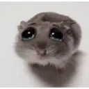 Tierno y malo 10