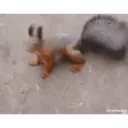 Tierno y malo 25