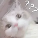 Gatitos 4