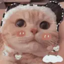 Gatitos 6