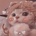 Gatitos 7