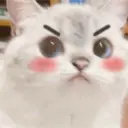 Gatitos 8