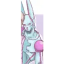 D4C 20