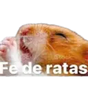 Gracioso nuevo 2