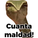 Gracioso nuevo 5