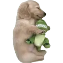 Doges 4.0 5
