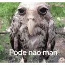 Pacotão kkkkkk 13